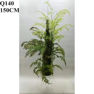 High Simulated Hanging Fern Plants Eco Friendly Faux Fern, 150 CM
