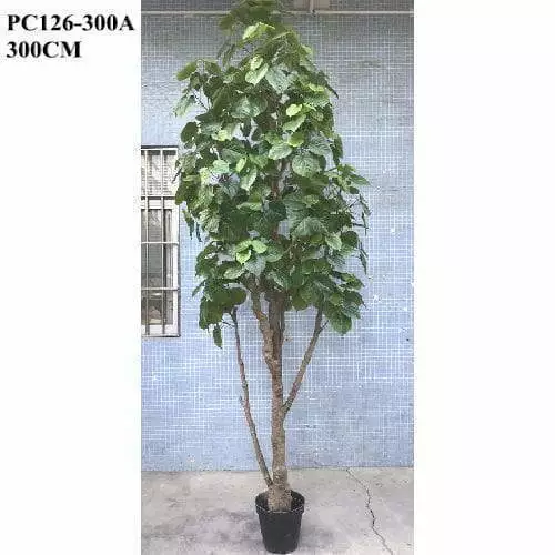 Artificial Ficus Umbellata Thin Stems, 300 CM