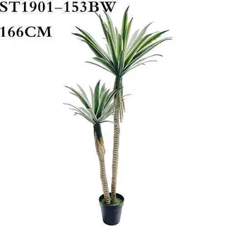 Artificial Century Plant, White Border, 166CM
