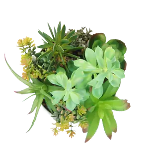 Artificial Hot Selling Succulents, 28 CM