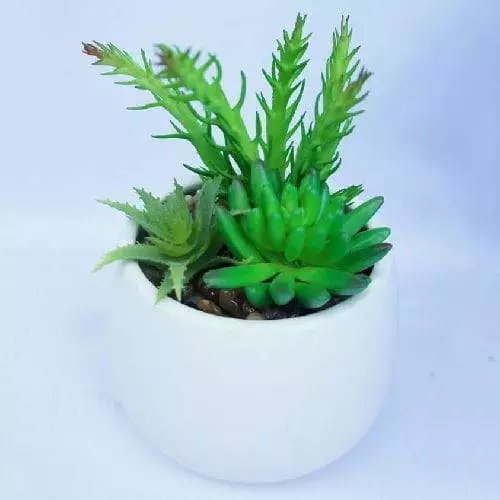 Mixed Succulent Artificial Plant