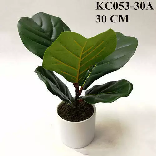 Artificial Fiddle Leaf Fig Bonsai, 30 CM, 50 CM