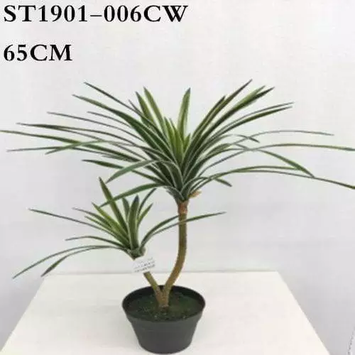 Artificial Sago Palm, White Border, 65CM, 85CM, 120CM