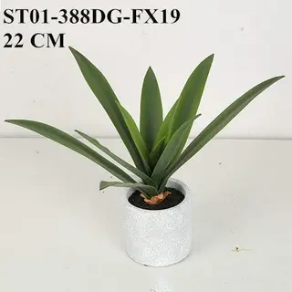 Artificial Rohdea Japonica Bonsai, 19 CM - 32 CM
