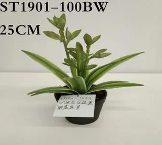 Artificial White Border Agave Americana Plant, 18CM, 25CM, 26CM