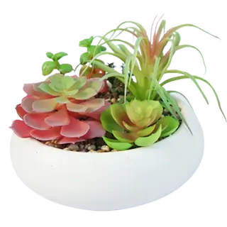 Fake Best Selling Succulents, 15 CM