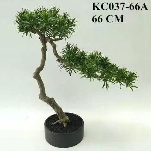 Artificial Podocarpus Macrophyllus Bonsai, 30CM, 50CM, 66CM
