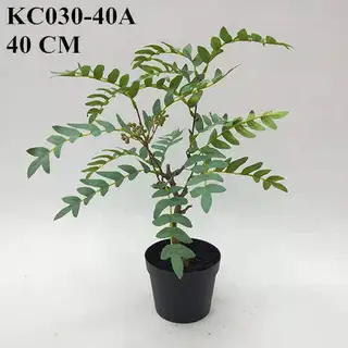 Artificial Osmunda Japonica Thunb Bonsai, 40 CM, 50 CM, 60 CM