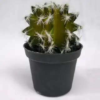 Fake Succulent Plant, 11 CM