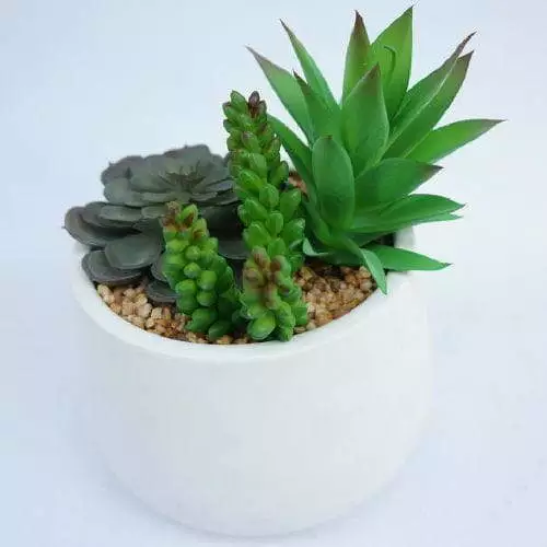 Artificial Fake Succulent Plants Faux Potted Green Decor for Desk