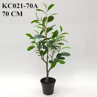Artificial Sweet Olive Bonsai Potted 40 CM - 90 CM