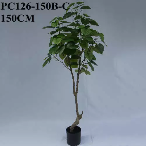 Artificial Ficus Umbellata, 150 CM