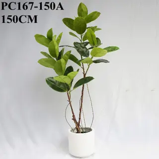Artificial Rubber Plant 2 Twigs, 150 CM