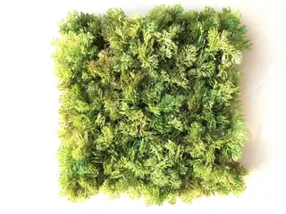 2021 New Design Artificial Moss