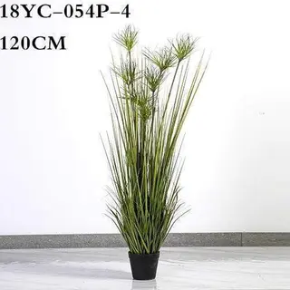 Artificial Amorseco, Lesser Spear Grass, Mackie's Pest