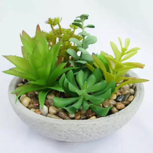 Artificial Potted Succulents Mini Realistic Fake Plants
