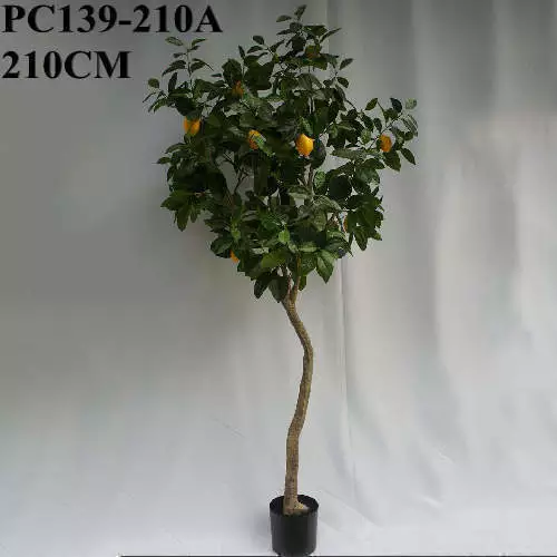 Artificial ต้นมะนาว Lemon Tree, 210 CM