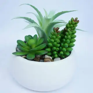 Artificial Mixed Succulent