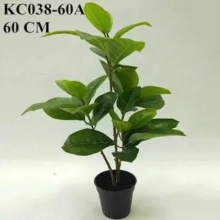 Artificial Ficus Elastica Bonsai, 40 CM, 60 CM