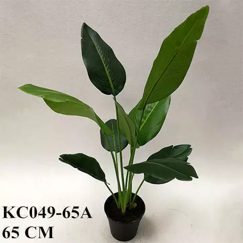 Artificial Strelitzia Bonsai, 50 CM, 65 CM, 75 CM