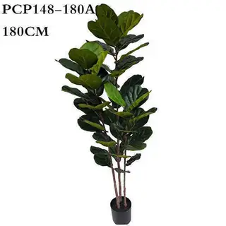 Artificial Ficus lyrata Tree, 90CM, 180CM