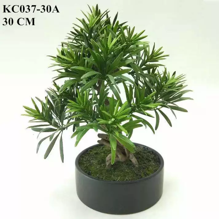 Artificial Podocarpus Macrophyllus Bonsai, 30CM, 50CM, 66CM
