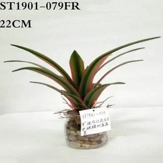 Artificial Red Border Agave Americana Plant, 18CM, 22CM