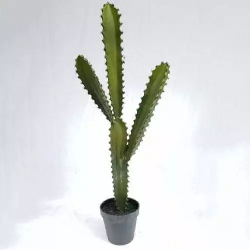 Faux Desert Plant Tabletop Succulent