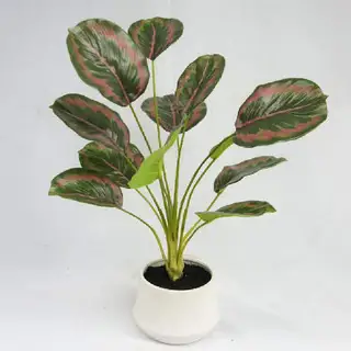 Artificial 12 Leaves West Indian Arrowroot, 58 CM