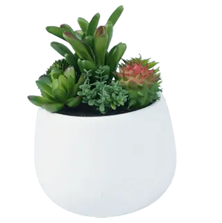 Artificial New Design Succulents, 15 CM