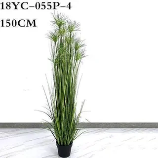 Artificial Amorseco, Lesser Spear Grass, Mackie's Pest