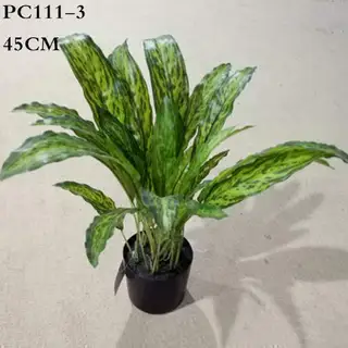 Artificial Calathea Lancifolia, 45CM