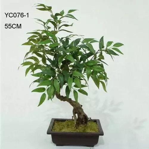 Artificial Acacia Bonsai 55 CM