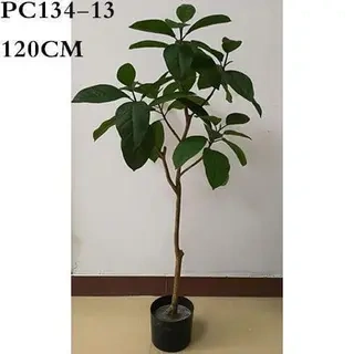 Artificial Curtain Fig, 120CM, 150CM, 180CM, 210CM, 270CM