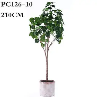 Faux Ficus Tree, 210CM