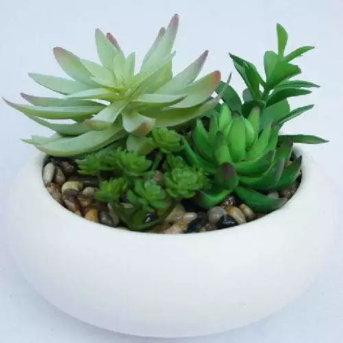 Potted Artificial Succulents Plants Home and Office Decoration