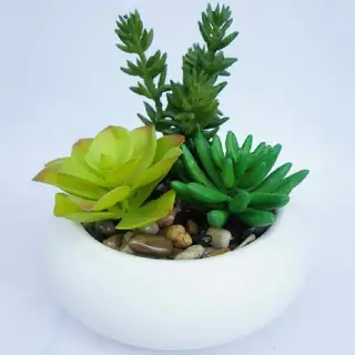 Faux Potted Succulent Artificial Plant Arrangement in White Planter