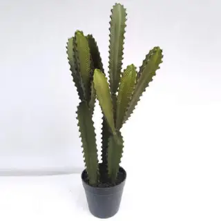 Faux Tabletop Desert Succulent Plants