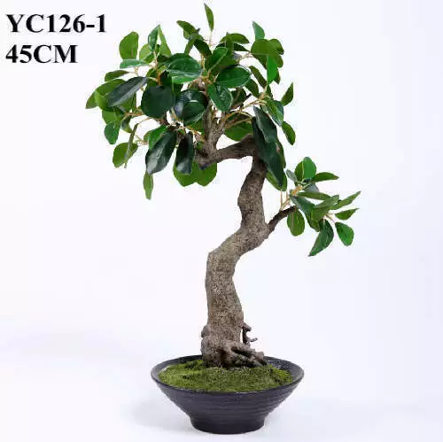 Artificial Ficus Bonsai, 45 CM