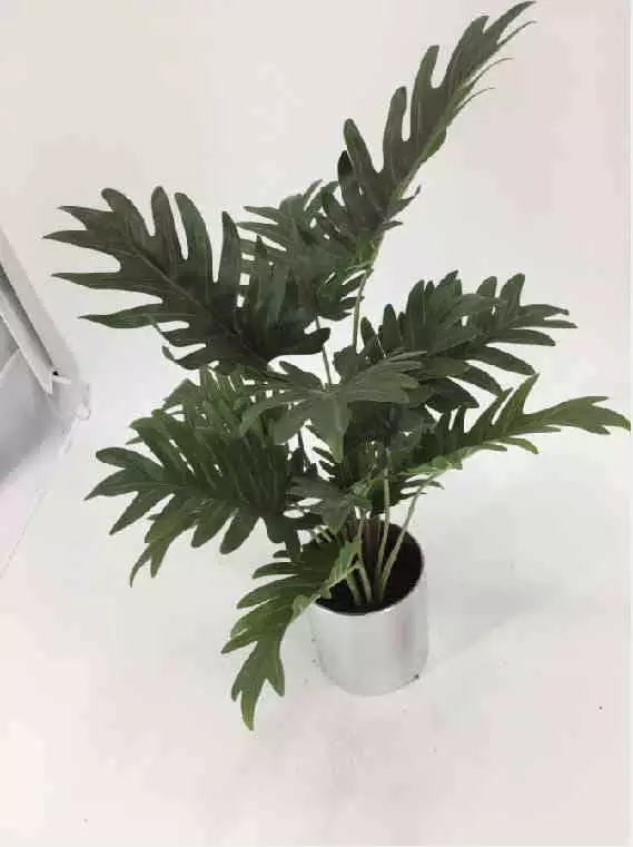 Hot Sellings - Artificial Tabletop Plants