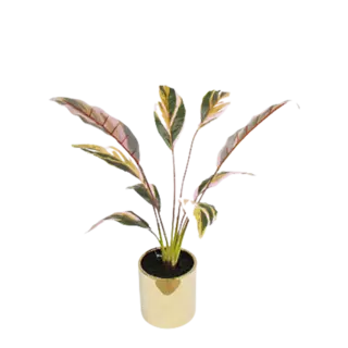 Artificial New Design Tabletop Plant, 57 CM