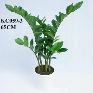 Artificial ZZ Plant, 65 CM