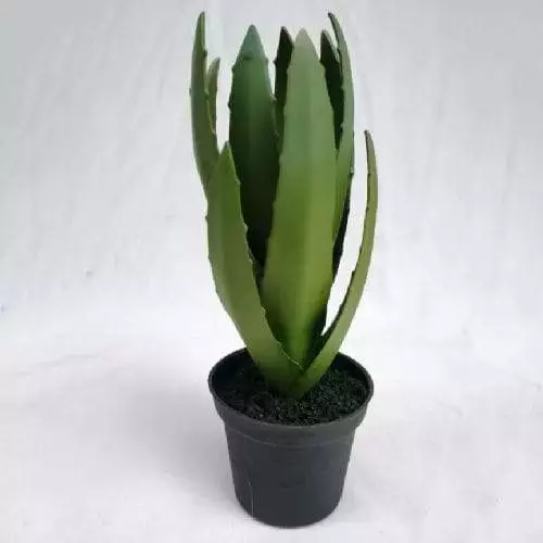 Artificial Mini Succulent Plant