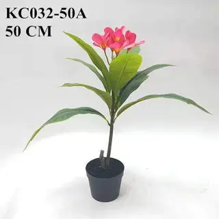 Artificial Frangipani Bonsai, 50 CM - 90 CM