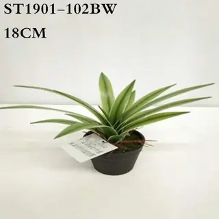 Artificial White Border Agave Americana Plant, 18CM, 25CM, 26CM
