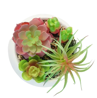 Fake Best Selling Succulents, 15 CM