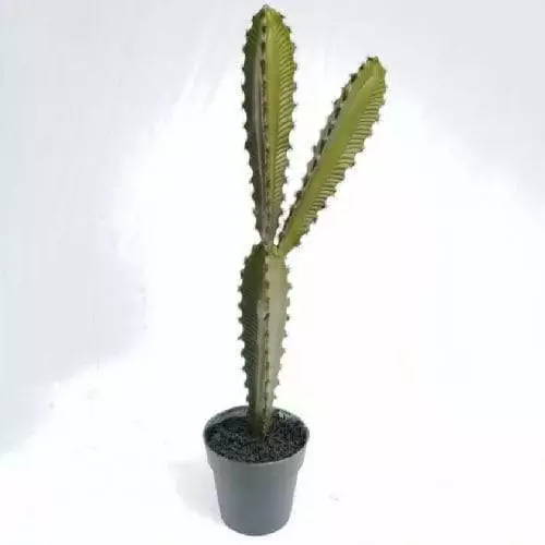 Faux Desert Succulent Plant