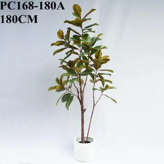 Artificial Magnolia Tree With Black Plastic Pot, 180 CM