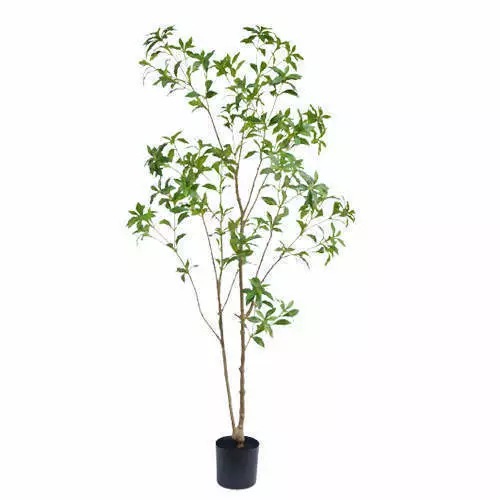 Newest Faux Pieris Japonica Tree, 180 CM