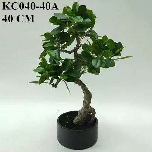 Artificial Ficus Microcarpa Bonsai, 30 CM, 50 CM, 66 CM
